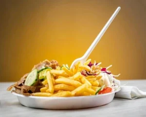 راهنمای خرید ظروف یکبار مصرف-فست فود