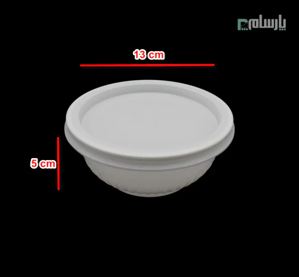 ظروف یکبار مصرف رستوران