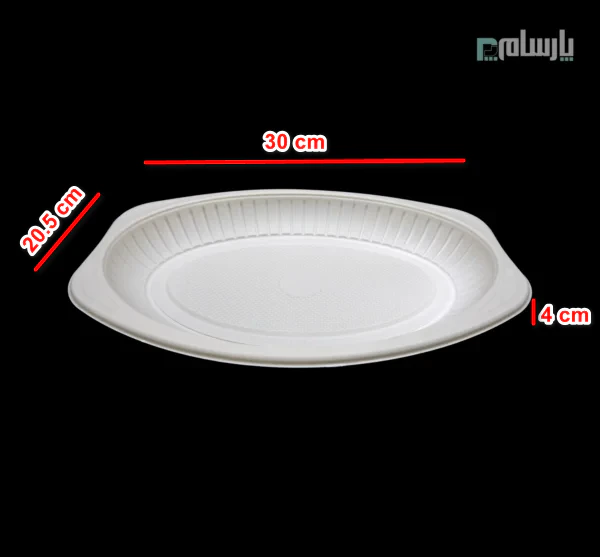 ظروف یکبار مصرف رستوران