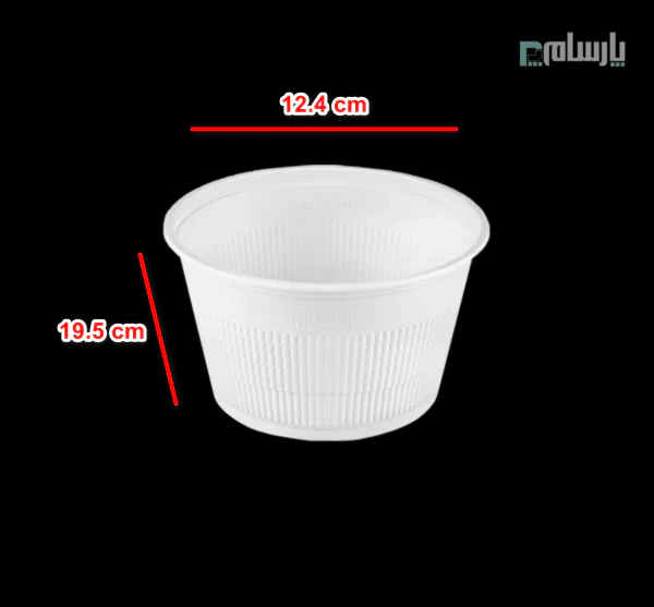 ظروف یکبار مصرف رستوران