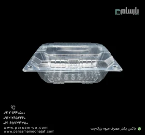 باکس یکبار مصرف میوه بزرگ شفاف-پت-زاویه دیگر