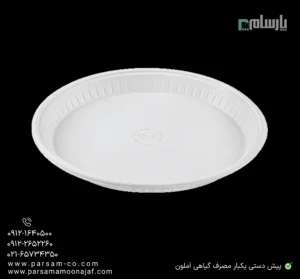 پیش دستی یکبار مصرف گیاهی آملون-زاویه دیگر