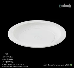 بشقاب یکبار مصرف گیاهی بزرگ آملون-زاویه دیگر