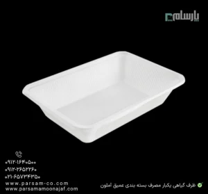 ظرف گیاهی یکبار مصرف بسته بندی عمیق آملون-زاویه دیگر