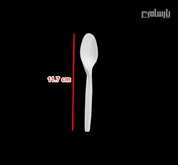 ظروف یکبار مصرف رستوران