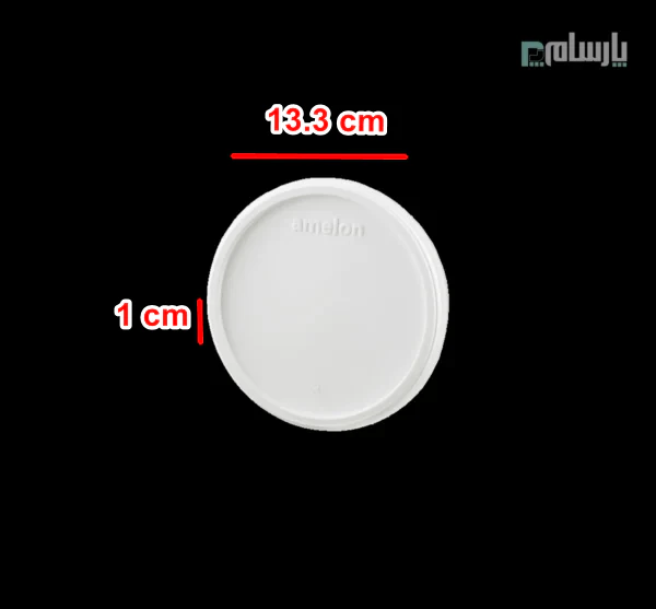 ظروف یکبار مصرف رستوران
