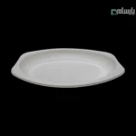 دیس یکبار مصرف گیاهی آملون سایز کوچک-🍽️ دیس یکبار مصرف گیاهی آملون سایز کوچک | پذیرایی راحت 🎂 خرید مستقیم 🛒