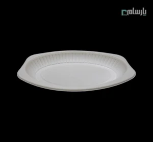 دیس یکبار مصرف گیاهی آملون سایز کوچک-🍽️ دیس یکبار مصرف گیاهی آملون سایز کوچک | پذیرایی راحت 🎂 خرید مستقیم 🛒
