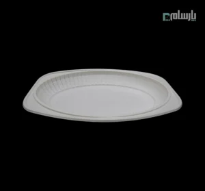 دیس گیاهی یکبار مصرف سایز بزرگ آملون-🍽️ دیس گیاهی یکبار مصرف سایز بزرگ آملون | مناسب مهمانی 🎉 خرید عمده 💰