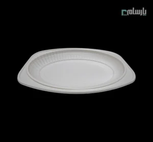 دیس گیاهی یکبار مصرف سایز بزرگ آملون-زاویه دیگر