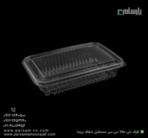 ظرف یکبار مصرف دلی 750 سی سی مستطیل شفاف پریما - 📦 ظرف دلی مستطیلی شفاف 750 سی سی مقاوم-زاویه دیگر