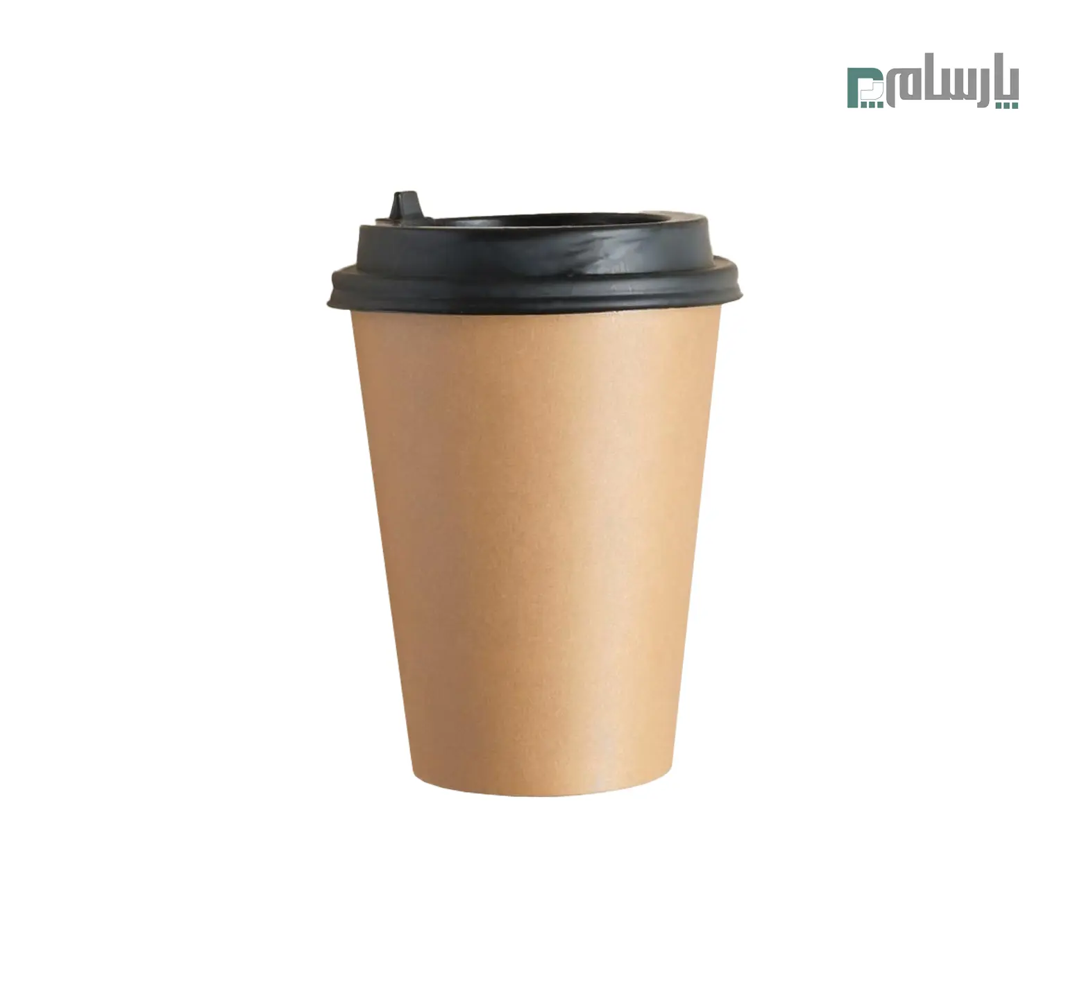 ظروف یکبار مصرف رستوران
