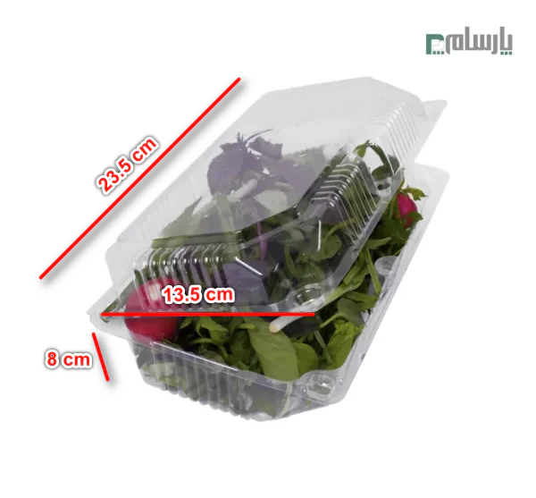 ظروف یکبار مصرف رستوران