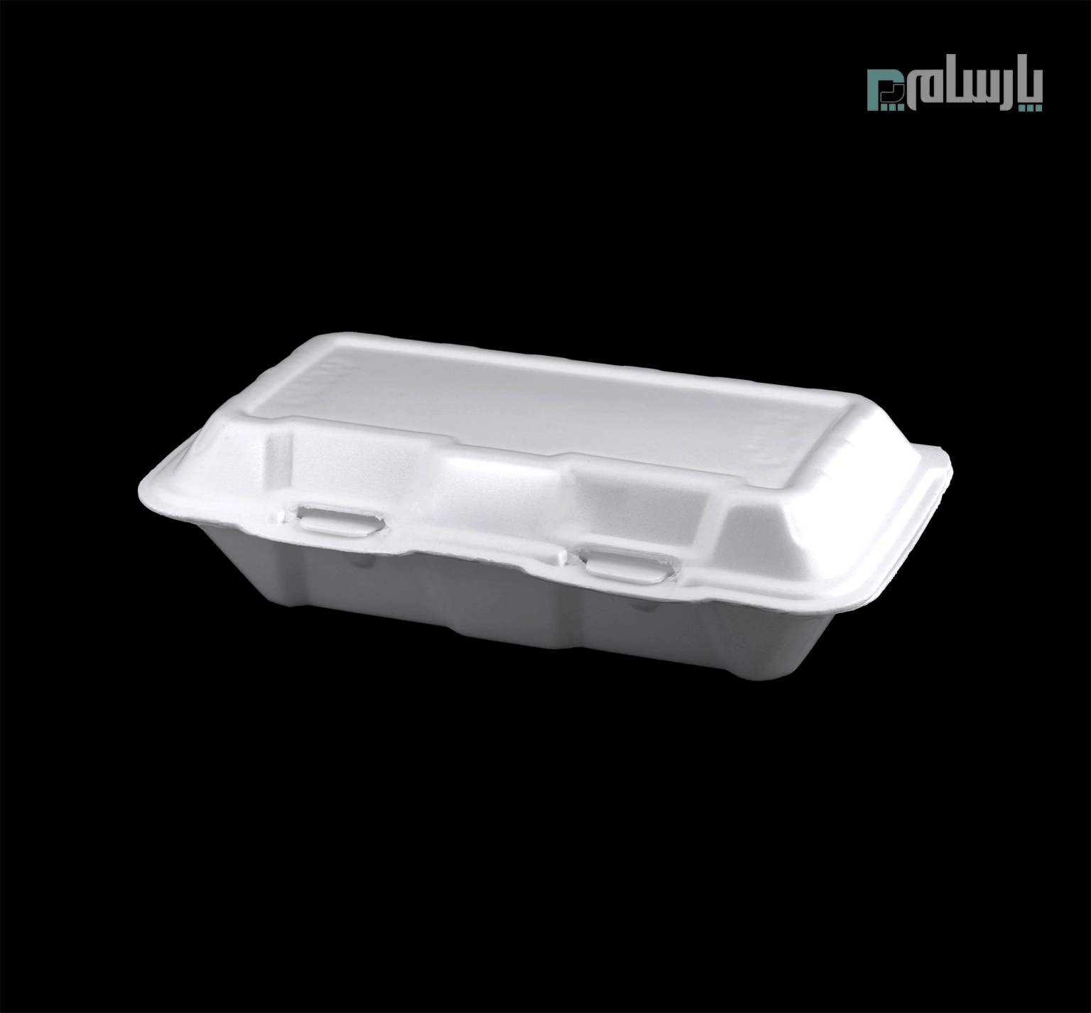 ظروف یکبار مصرف رستوران