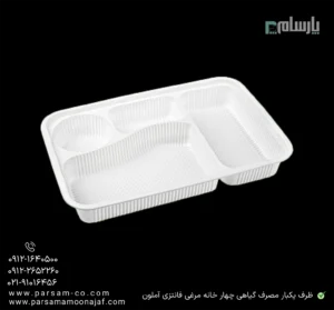 ظرف یکبار مصرف گیاهی چهار خانه مرغی فانتزی آملون-زاویه دیگر
